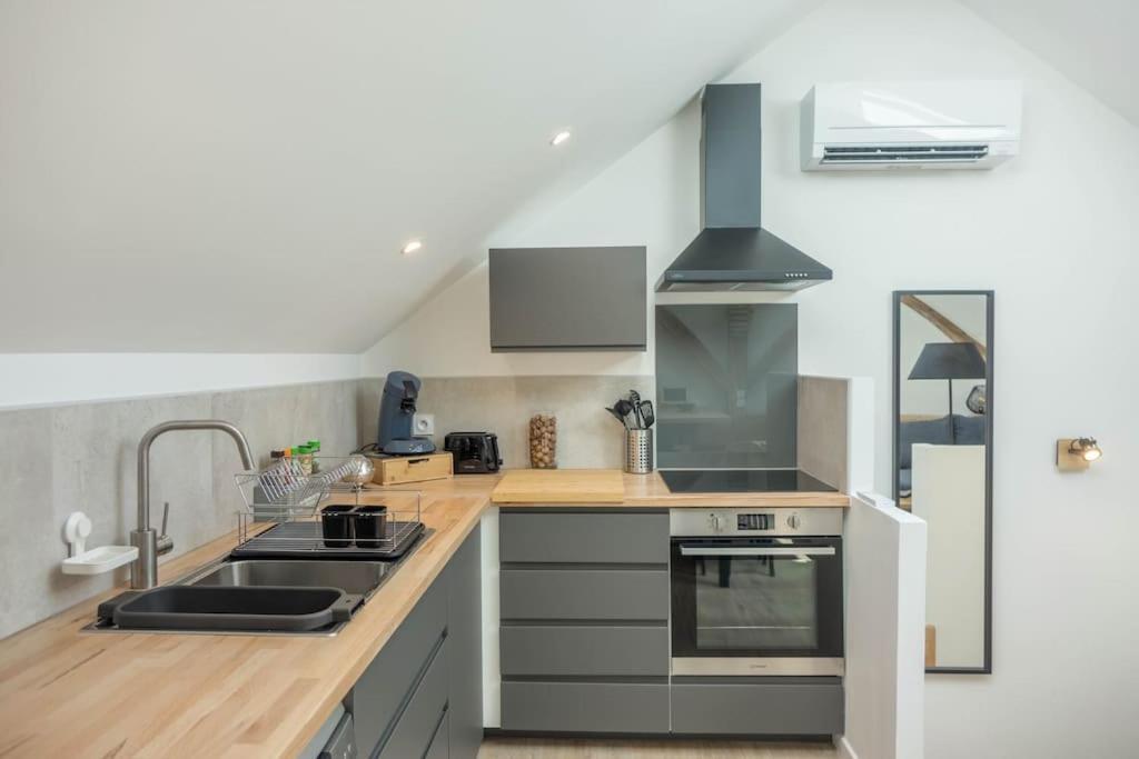 Maison/Appartement Avec Jardin Saint-Denis-en-Val 外观 照片